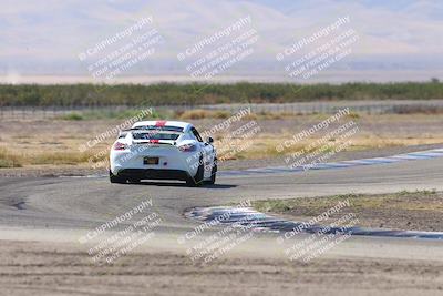 media/Oct-04-2025-OnGrid (Sat) [[44bd565ffa]]/Green Group/Grapevine/